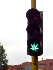 traffic light with marijuana sign